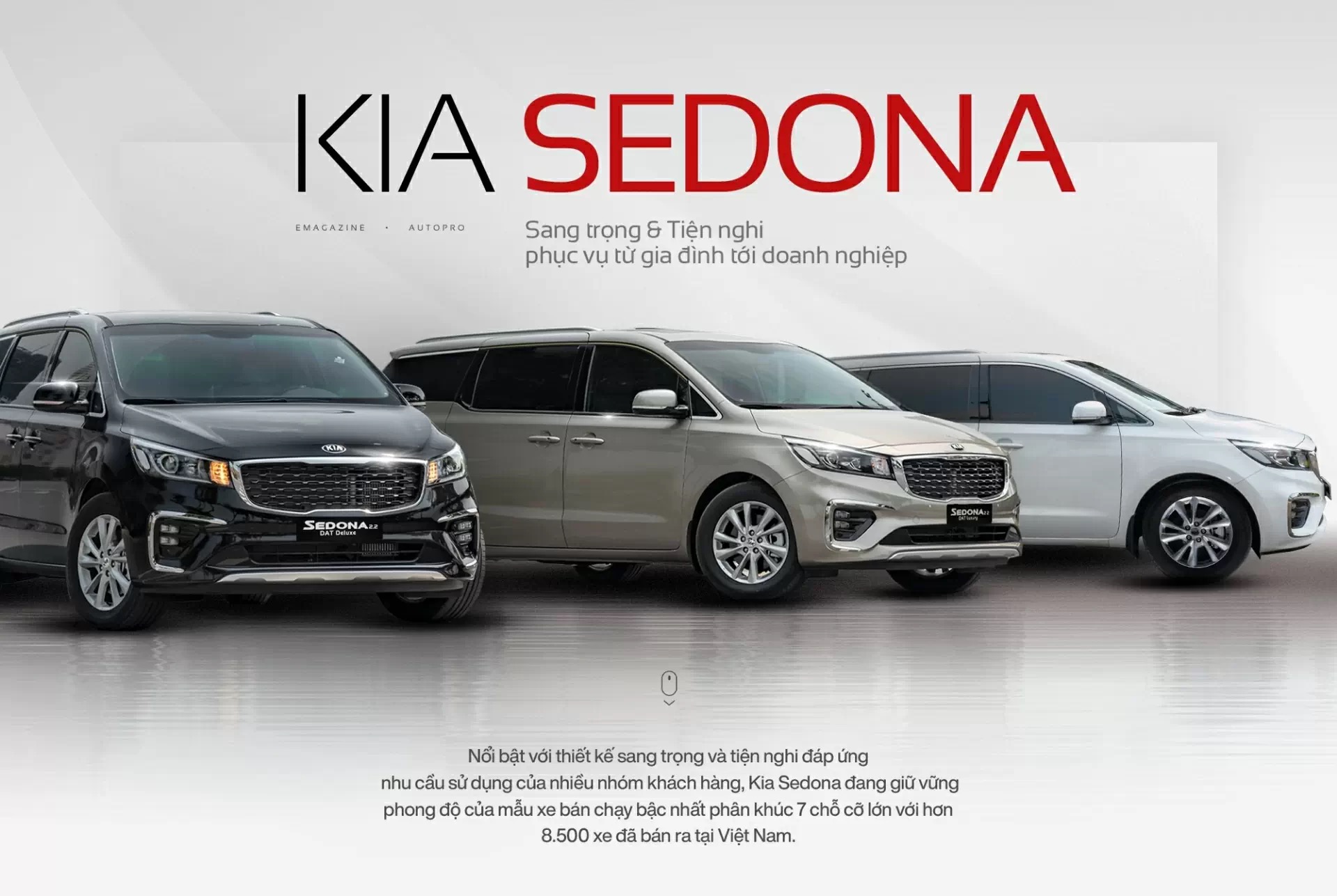 Đánh Giá Kia Sedona Sang Trọng & Tiện Nghi Phục Vụ Từ Gia Đình Tới Doanh Nghiệp
